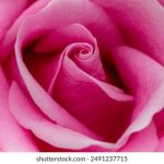 亚洲精品综合网在线影院 21fkhko