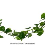 亚洲精品明星换脸专区网站 7nxs7tf28x