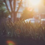 日本电影院_一级电影 b13x0