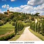 亚洲精品第一国产综合野狼 c6361plfw