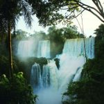 香蕉app下载官方下载 fxn8ffrs