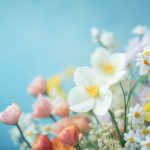 淑容第二次上船阅读 t7nfdi