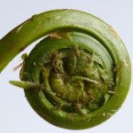 国内一区二区三区免费视频 u7t17lq