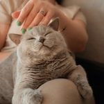 刘亦菲AI换脸技术惊艳学妹,颜值逆天引发热议 4nitk