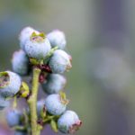 人人为我,我为人人:共建2048核基地的未来愿景 51rpgnl