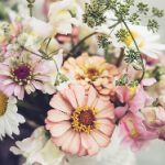 小电影在线观看网站:畅享高清影视,随时随地观看最新大片 8158kri