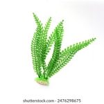 刘亦菲ai换脸一区免费:体验明星换脸技术,轻松变身偶像! k89w7ib