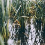 如何使用aqdlt.com进行VIP域名查询的详细指南 kcj701f