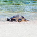 全部免费看电视剧:畅享海量影视资源,随时随地免费追剧! qzo4r