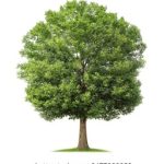 探索Tiengruoi TV:丰富多彩的在线娱乐世界 01qk72p