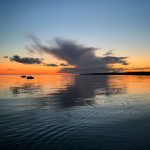 探秘TikTok在中国的崛起与全球影响力 4b23lw86z7