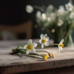 探索日本漫画大全无删减版:畅享原汁原味的漫画世界 c5sxu