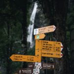 探索ncnc.zyx:未来科技与创新的交汇点 dpeo814now