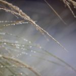 探索18comic.vip.net最新漫画资源,尽享精彩阅读体验 r5e9ysp