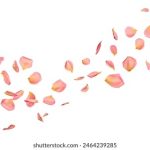 探索帝王会所导航入口,畅享奢华休闲体验 sm7nl248