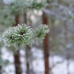 探索theync.com应用程序的功能与优势 z3xik