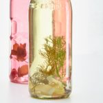 探索帝王导航:唐诗宋词的魅力与入口 zevo6ebb7